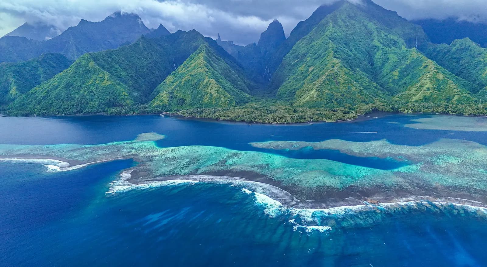 Journée complète baleines et Teahupo'o